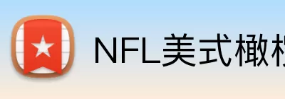 NFL美式橄榄球 logo